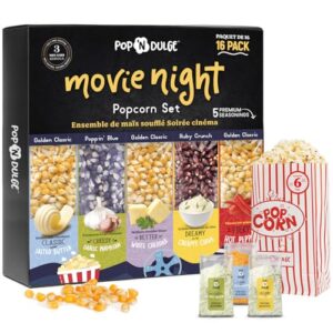 Popcorn Movie Night Supplies Popcorn Kernels Popcorn Seasoning 16 Pack, 5 Gourmet Popcorn Kernels, 5 Popcorn Seasoning Variety Packs Non-GMO Snacks, Includes 6 Bags, Gift Basket Idea