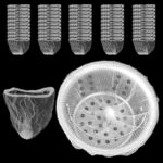 200 PCS Disposable Kitchen Mesh Sink Strainer Bag, Elastic Anti-Clogging Sink Filter for Sink Drain Strainer Collecting Kitchen Waste Garbage Leftover Food