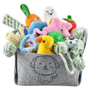 24-Pack Puppy Toys Set, Small Dog Toys Puppy Teething Toys with A Storage Box, Puppy Rope Toy Puppy Chew Toy Dog Toys for Small and Medium Dogs Playing and Training