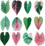 12pcs Leaf Shaped Fridge Magnets, Mini Plant Themed Decorative Funny Cute Refrigerator Magnets for Home Kitchen School Office Locker Decor Birthday Plant Lovers Gift